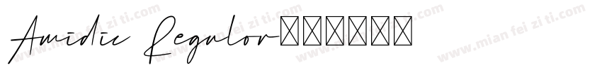 Amidic Regulor字体转换